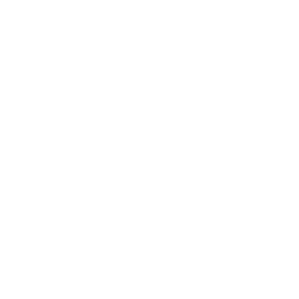 National Dance Coaches Association (NDCA) logo